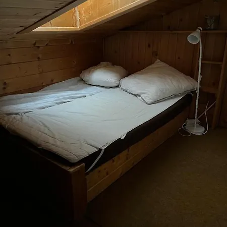 דירה Dachgeschoss-apartment In Skilift-naehe צל-אם-זי