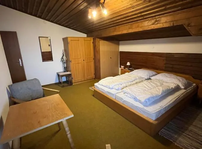 公寓 Dachgeschoss-apartment In Skilift-naehe 滨湖采尔