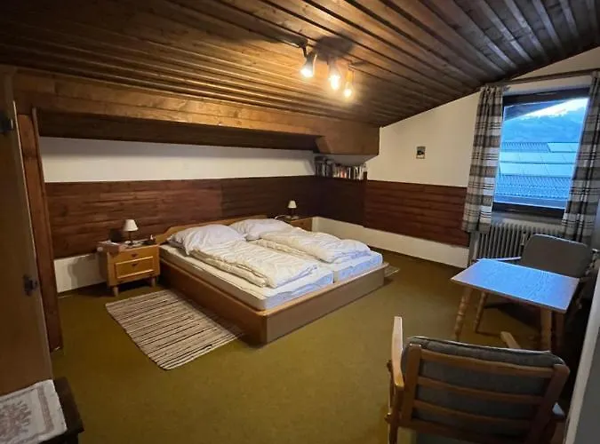 公寓 Dachgeschoss-apartment In Skilift-naehe *