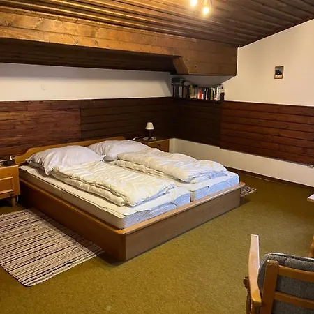 Dachgeschoss-apartment In Skilift-nähe *